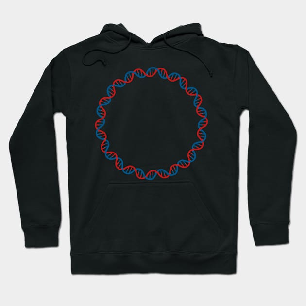 Circular DNA Double Stranded Hoodie by labstud